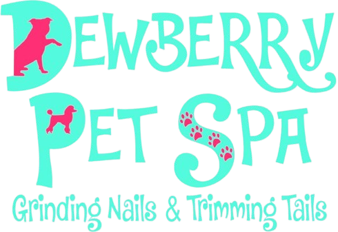 Dewberry Pet Spa